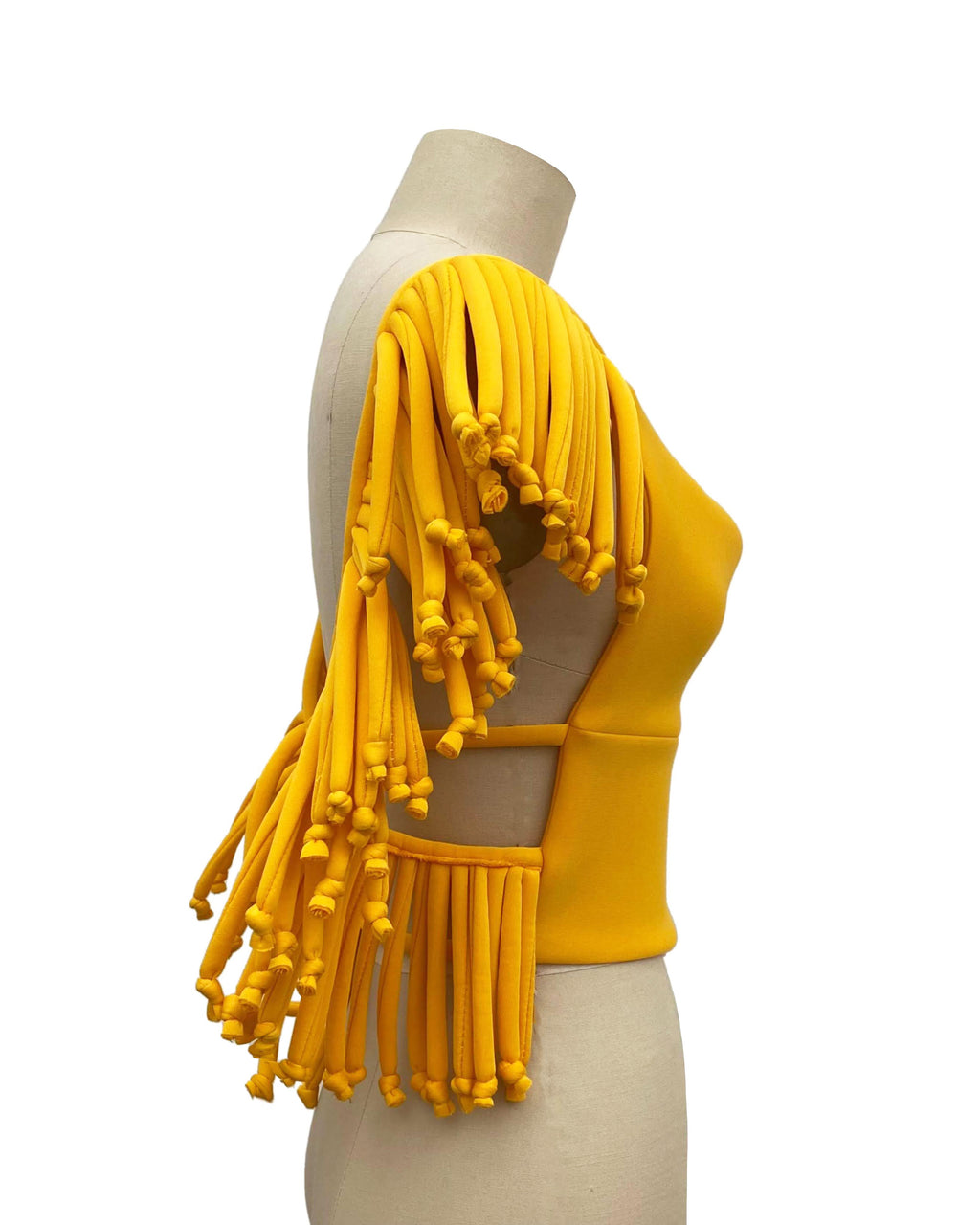 Fringe w/ Benefits Swim Set
