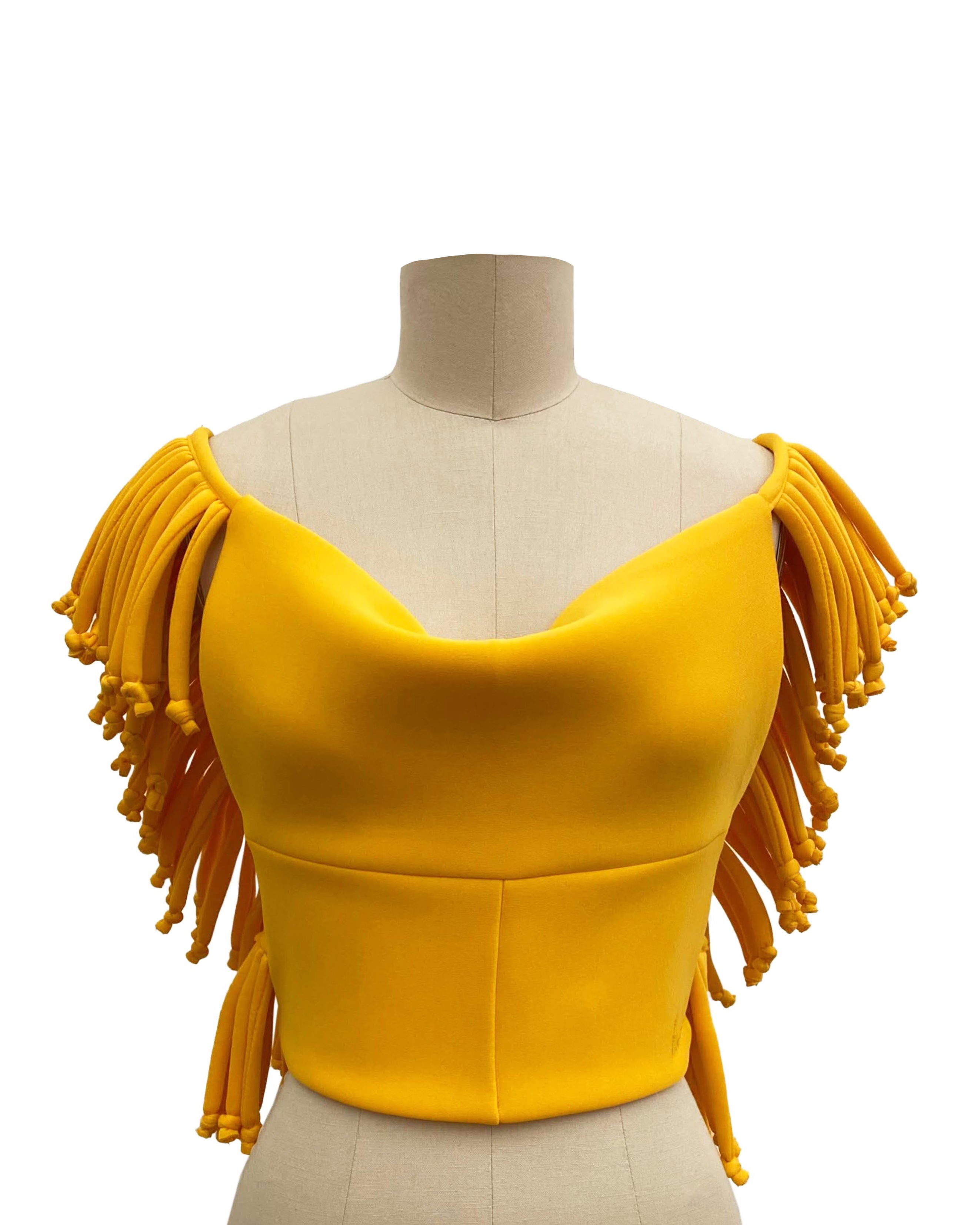 Fringe w/ Benefits Swim Top